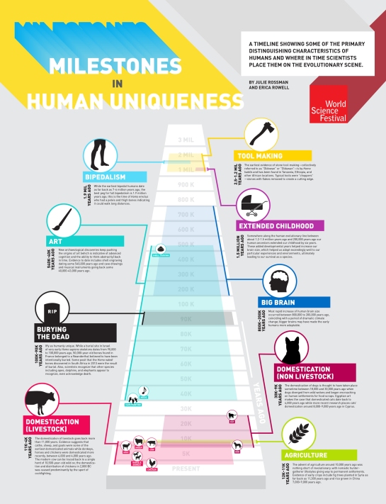 human-uniqueness_infographic